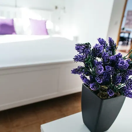 Eco White With Climatized Pool