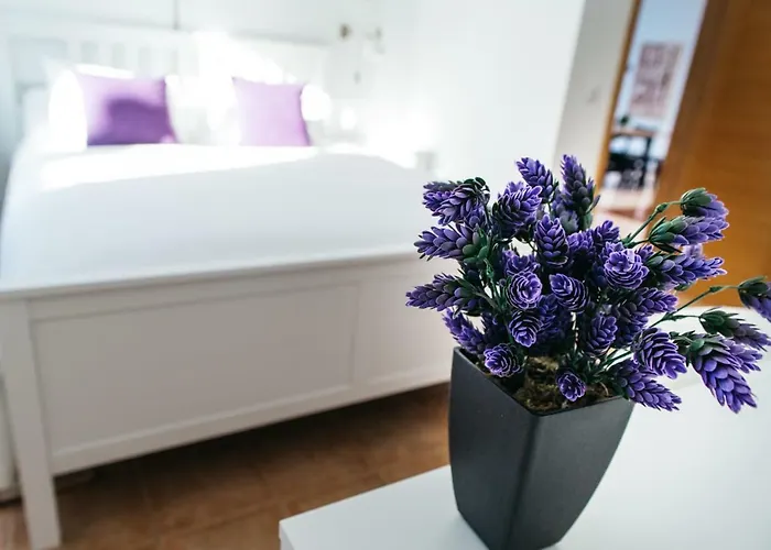 Eco White With Climatized Pool